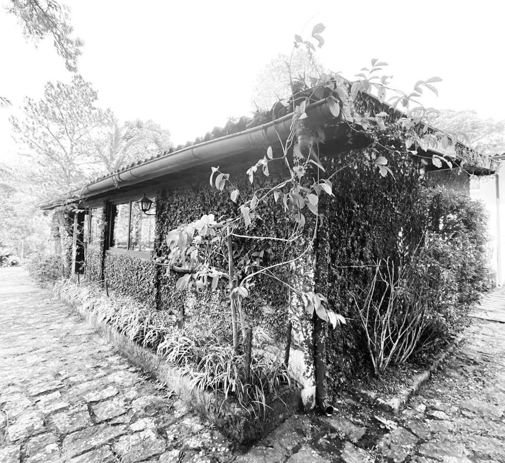 Hotel Pinheiros Do Rocio à Petrópolis Extérieur photo