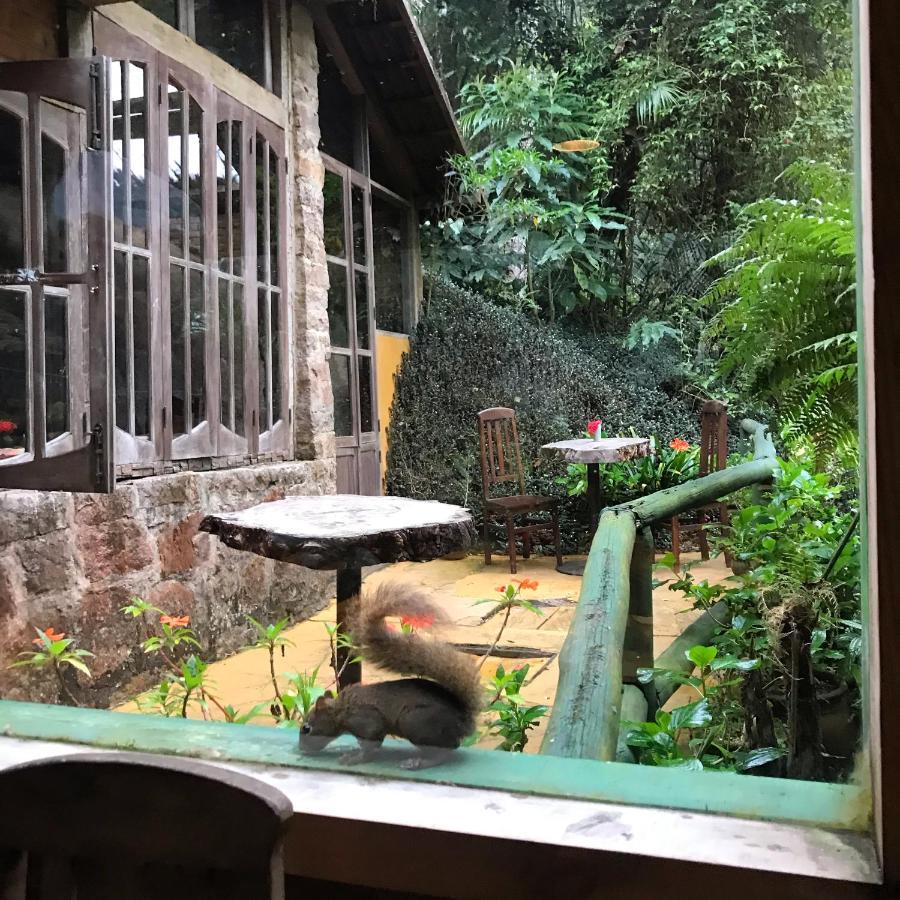 Hotel Pinheiros Do Rocio à Petrópolis Extérieur photo