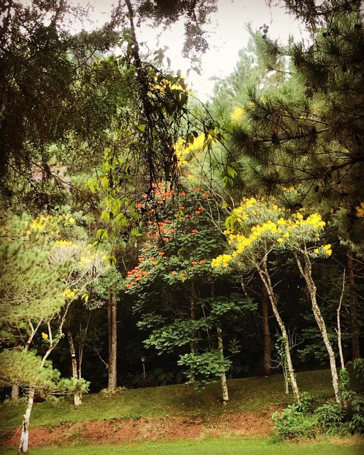 Hotel Pinheiros Do Rocio à Petrópolis Extérieur photo