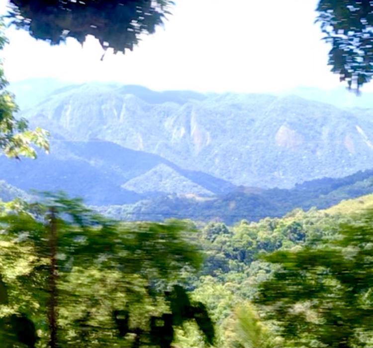 Hotel Pinheiros Do Rocio à Petrópolis Extérieur photo
